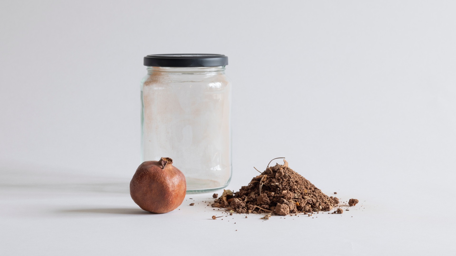 Soil and pomegranate from the exhibition Nakba