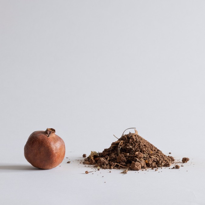 Soil and pomegranate